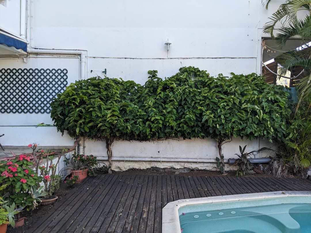 Entretien des espaces verts Entretien des espaces verts