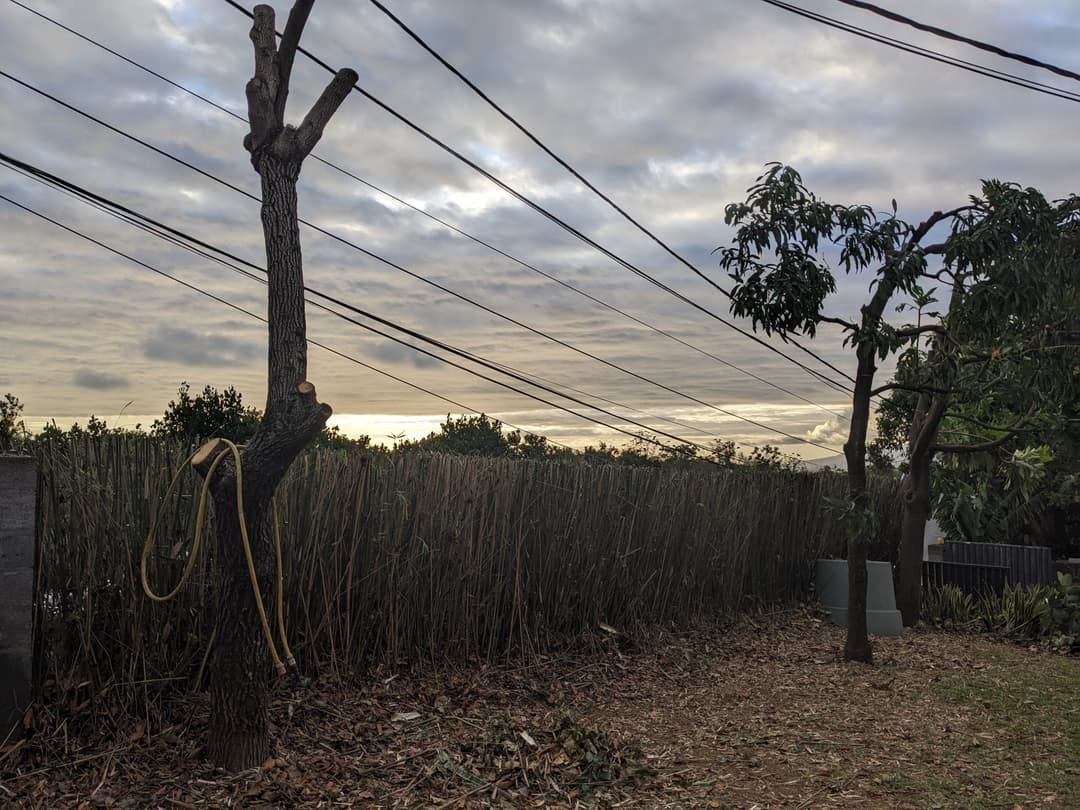 Taille de haie Taille de haie