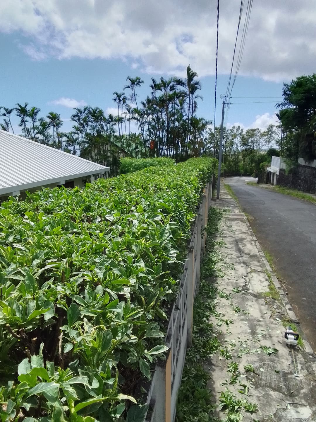 Taille manuelle pour un travail soigné Taille manuelle pour un travail soigné