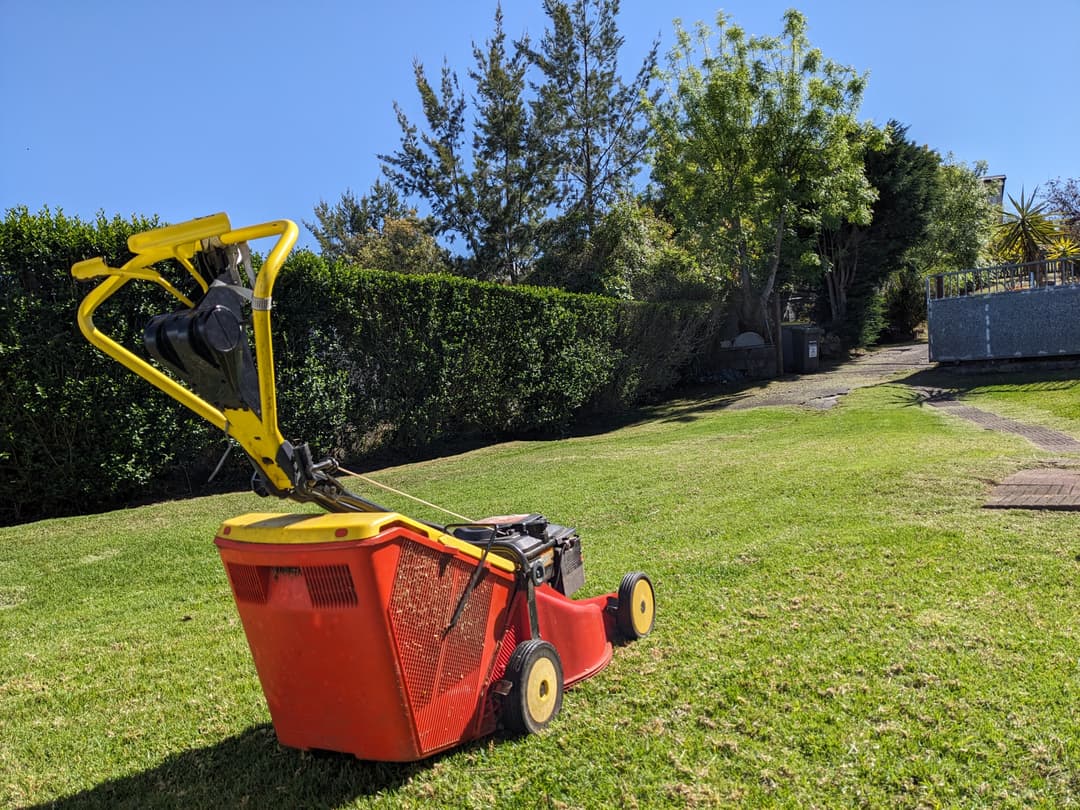Gazon bien tondu avec une tondeuse au premier plan Gazon bien tondu avec une tondeuse au premier plan