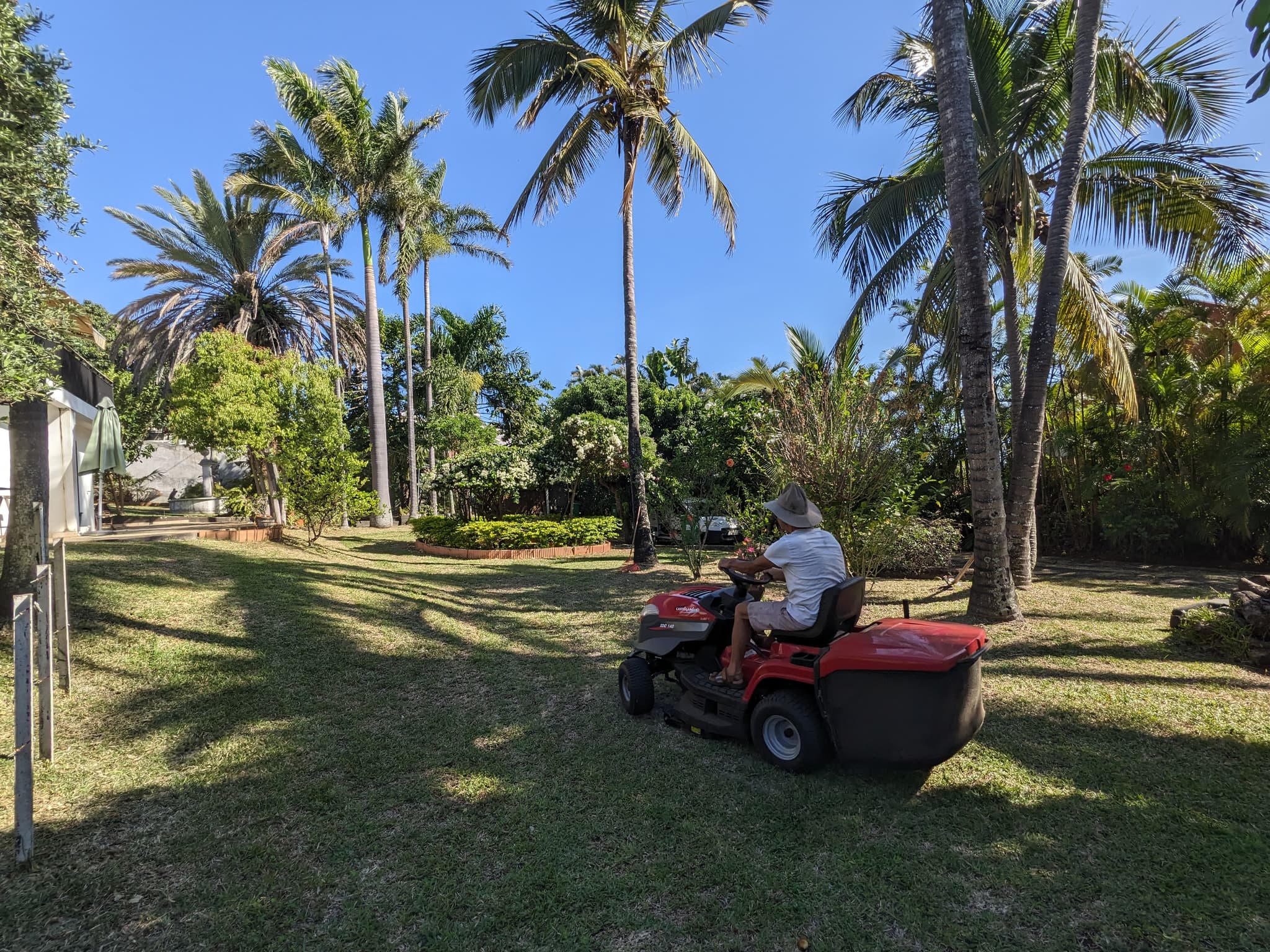 Image d'un abattage d'arbre Image d'un abattage d'arbre